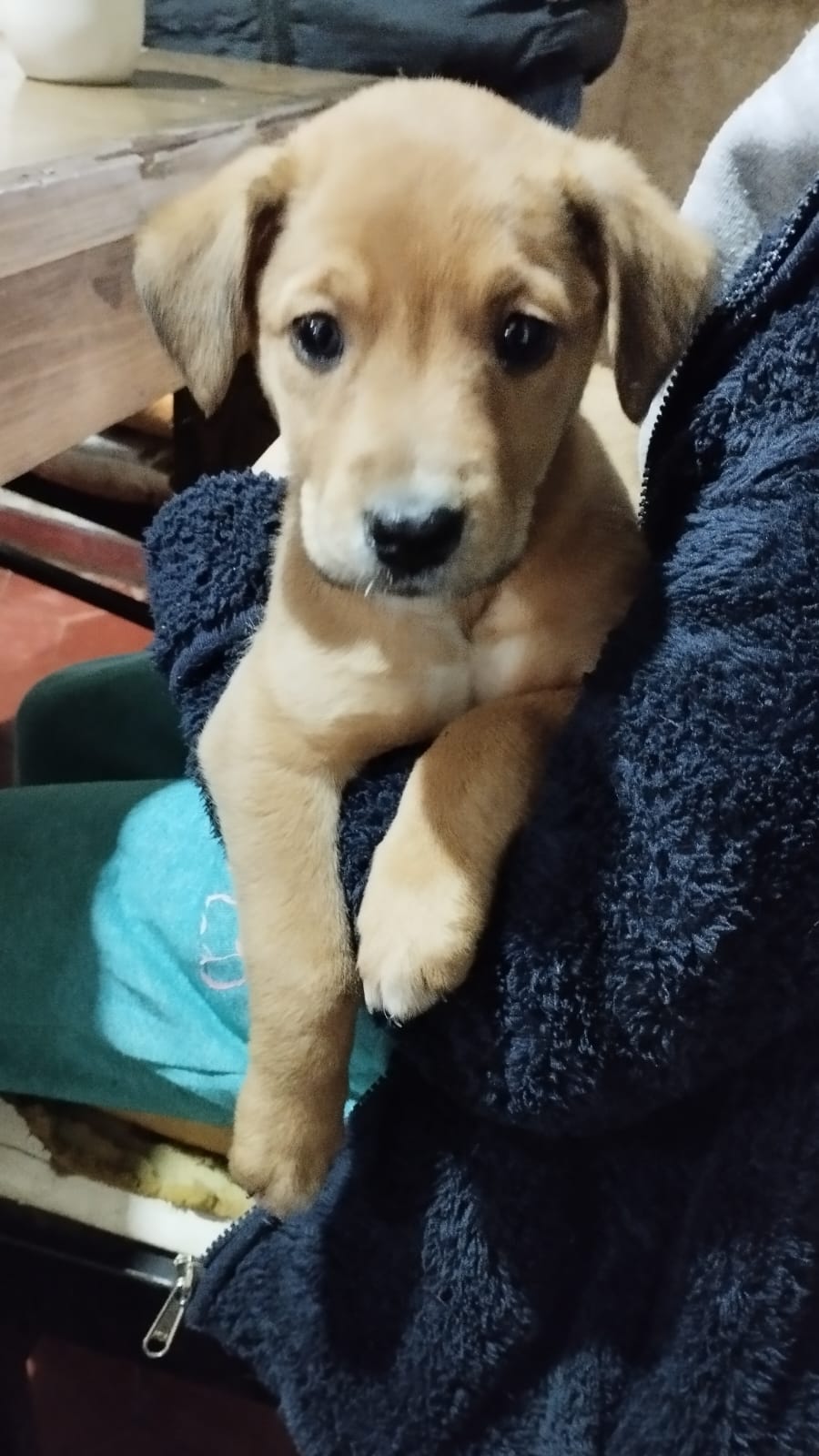 Luna